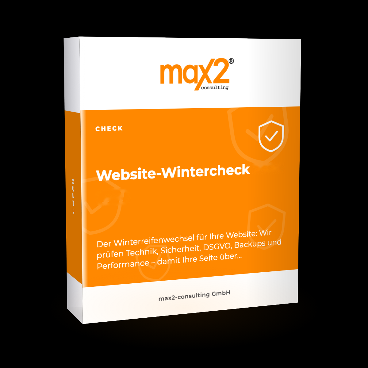 Produktbox Website-Wintercheck von max2-consulting